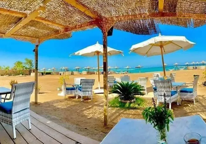 Turtles Hourghada View Sea View Pool Private Pools Balcony Security Cafe And Restaurant On Pool Jacuzzi Air-condition Sunny A Large Balcony