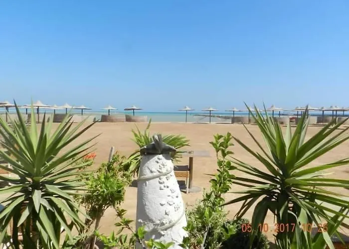 Turtles Hourghada View Sea View Pool Private Pools Balcony Security Cafe And Restaurant On Pool Jacuzzi Air-condition Sunny A Large Balcony * Gurdaka