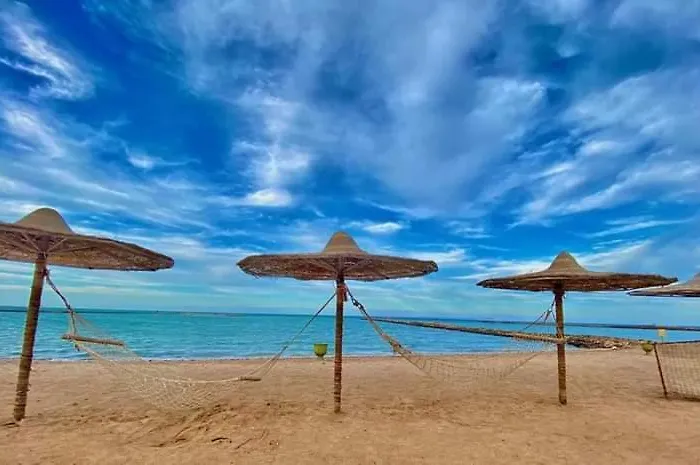 Turtles Hourghada View Sea View Pool Private Pools Balcony Security Cafe And Restaurant On Pool Jacuzzi Air-condition Sunny A Large Balcony Gurdaka